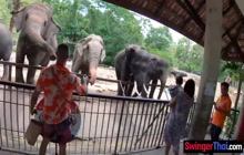 Big ass Thai girlfriend went to a zoo and made a homemade sex video after